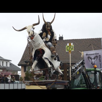 gruenigen